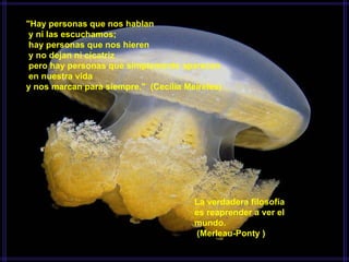 "Hay personas que nos hablan   y ni las escuchamos;   hay personas que nos hieren   y no dejan ni cicatriz   pero hay personas que simplemente aparecen   en nuestra vida  y nos marcan para siempre."  (Cecília Meireles)    La verdadera filosofía  es reaprender a ver el mundo.   (Merleau-Ponty ) 
