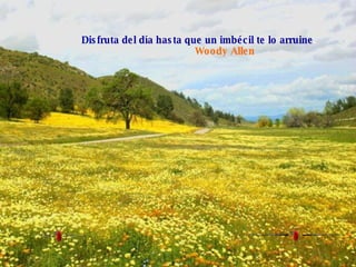 Disfruta del día hasta que un imbécil te lo arruine .  Woody Allen   