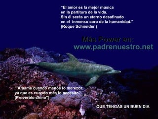 “ El amor es la mejor música en la partitura de la vida. Sin él serás un eterno desafinado  en el  inmenso coro de la humanidad." (Roque Schneider ) " Ámame cuando menos lo merezca,  ya que es cuando más lo necesito"  (Proverbio chino") QUE TENGAS UN BUEN DIA 