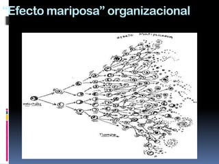 “Efecto mariposa” organizacional
 