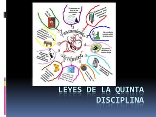 LEYES DE LA QUINTA
DISCIPLINA
 
