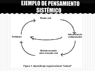 Pensamiento sistemico2