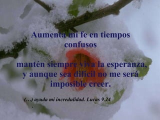 Aumenta mi fe en tiempos confusos   mantén siempre viva la esperanza, y aunque sea difícil no me será imposible creer. (…) ayuda mi incredulidad. Lucas 9.24 . 