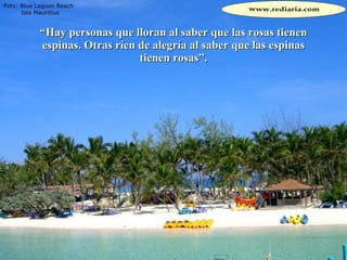 “ Hay personas que lloran al saber que las rosas tienen espinas. Otras ríen de alegría al saber que las espinas tienen rosas”. 