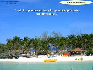 "Sólo los grandes sabios y los grandes ignorantes son inmutables." 