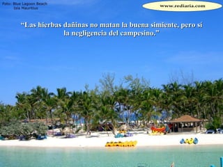 “ Las hierbas dañinas no matan la buena simiente, pero sí la negligencia del campesino.” 