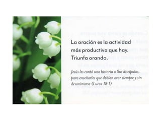 Pensamientos para reflexionar