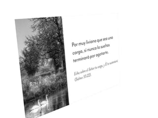 Pensamientos para reflexionar