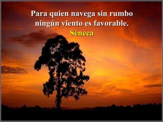 Para quien navega sin rumbo ningún viento es favorable. Séneca 