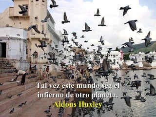 Tal vez este mundo sea el infierno de otro planeta. Aldous Huxley 