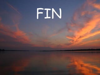 FIN 