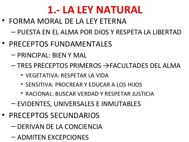 Pensamiento sto tomas