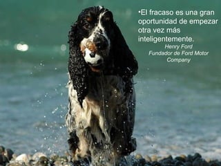 El fracaso es una gran oportunidad de empezar otra vez más inteligentemente. Henry Ford Fundador de Ford Motor Company 