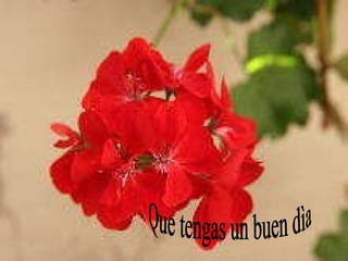 Que tengas un buen dìa 