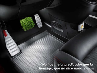 "No hay mejor predicador que la hormiga, que no dice nada   B Franklin 