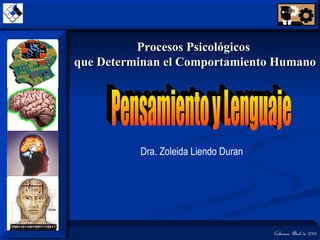 Pensamiento y Lenguaje Dra. Zoleida Liendo Duran Procesos Psicológicos  que Determinan el Comportamiento Humano 