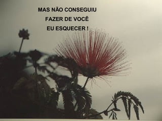 MAS NÃO CONSEGUIU FAZER DE VOCÊ EU ESQUECER ! 