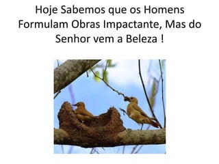 Hoje Sabemos que os Homens
Formulam Obras Impactante, Mas do
Senhor vem a Beleza !
 