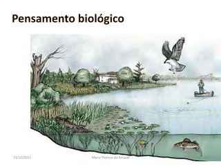 23/10/2011   Maria Thereza do Amaral   10
 