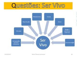 Q




23/10/2011       Maria Thereza do Amaral   28
 