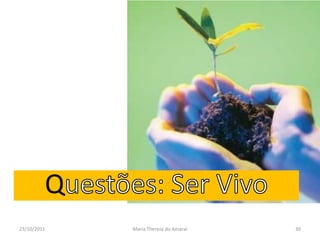 Q
23/10/2011   Maria Thereza do Amaral   30
 