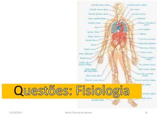 Q
23/10/2011   Maria Thereza do Amaral   31
 