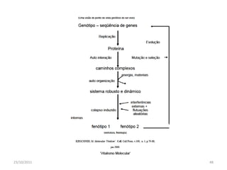 23/10/2011   Maria Thereza do Amaral   48
 