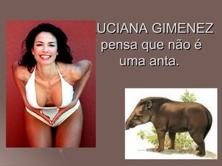 LUCIANA GIMENEZ
 pensa que não é
    uma anta.
 