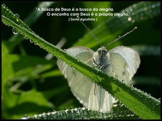 "A busca de Deus é a busca da alegria.
O encontro com Deus é a própria alegria."
( Santo Agostinho )
 