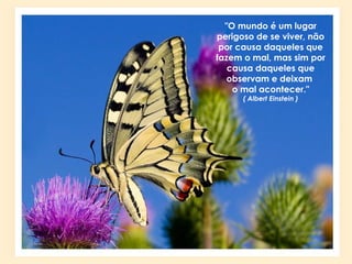 "O mundo é um lugar
perigoso de se viver, não
por causa daqueles que
fazem o mal, mas sim por
causa daqueles que
observam e deixam
o mal acontecer."
( Albert Einstein )
 