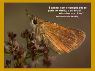 "É apenas com o coração que se
pode ver direito; o essencial
é invisível aos olhos."
( Antoine de Saint Exupéry )
 