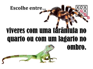 viveres com uma tarântula no
quarto ou com um lagarto no
ombro.
Escolhe entre…