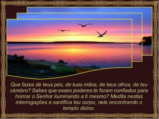 Que fazes de teus pés, de tuas mãos, de teus olhos, de teu cérebro? Sabes que esses poderes te foram confiados para honrar o Senhor iluminando a ti mesmo? Medita nestas interrogações e santifica teu corpo, nele encontrando o templo divino. 