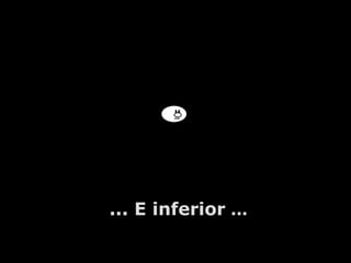 A.U.Saleem ... E inferior  ... 