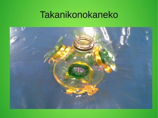 Takanikonokaneko
 