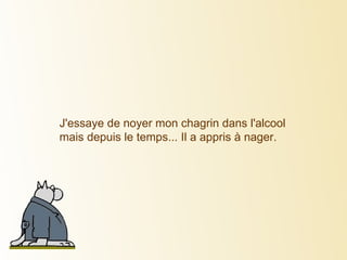 J'essaye de noyer mon chagrin dans l'alcool mais depuis le temps... Il a appris à nager. 