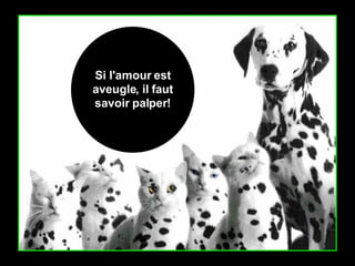 Si l'amour est aveugle, il faut savoir palper! 