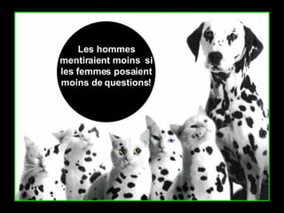 Les hommes mentiraient moins  si les femmes posaient moins de questions! 