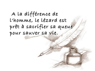 A la différence de
l'homme, le lézard est
prêt à sacrifier sa queue
pour sauver sa vie.
 