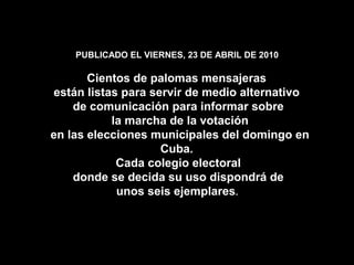 PUBLICADO EL VIERNES, 23 DE ABRIL DE 2010
Cientos de palomas mensajeras
están listas para servir de medio alternativo
de comunicación para informar sobre
la marcha de la votación
en las elecciones municipales del domingo en
Cuba.
Cada colegio electoral
donde se decida su uso dispondrá de
unos seis ejemplares.
 