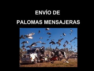 Punto de Aplicación
Modulo o Intensidad
(Tomamos valores cualitativos)
Dirección o Sentido
ENVÍO DE
PALOMAS MENSAJERAS
 