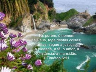 Tu, porém, ó homem de Deus, foge destas coisas; antes, segue a justiça,a piedade, a fé, o amor, a constância, a mansidão. 1 Timóteo 6:11 