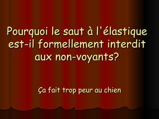 Pourquoi le saut à l'élastique est-il formellement interdit aux non-voyants? Ça fait trop peur au chien 