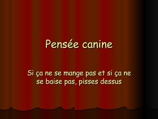 Pensée canine Si ça ne se mange pas et si ça ne se baise pas, pisses dessus 