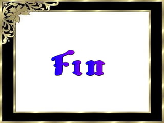 Fin 