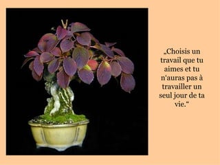 „ Choisis un travail que tu aimes et tu n‘auras pas à travailler un seul jour de ta vie.“ 