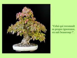 “ Celui qui reconnaît sa propre ignorance, en sait beaucoup !”.   