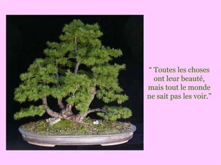 “  Toutes les choses ont leur beauté, mais tout le monde ne sait pas les voir.” 