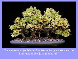 “ Raconte-moi et j’oublierai. Montre-moi et je me souviendrai. Embrasse-moi et je comprendrai.”   