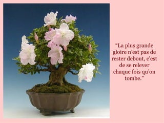“ La plus grande gloire n’est pas de rester debout, c’est de se relever chaque fois qu’on tombe.” 